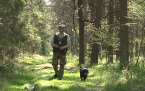 Ogary i Gończe Polskie