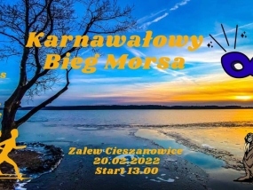 Karnawałowy bieg morsa