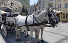 Dorożką po trakcie 