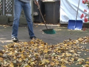 Sprzątnij liście! 