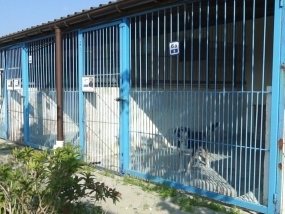 schronisko2-1758894105.jpg