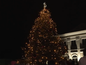 Miejska choinka już błyszczy! FILM