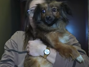 Luna już bezpieczna