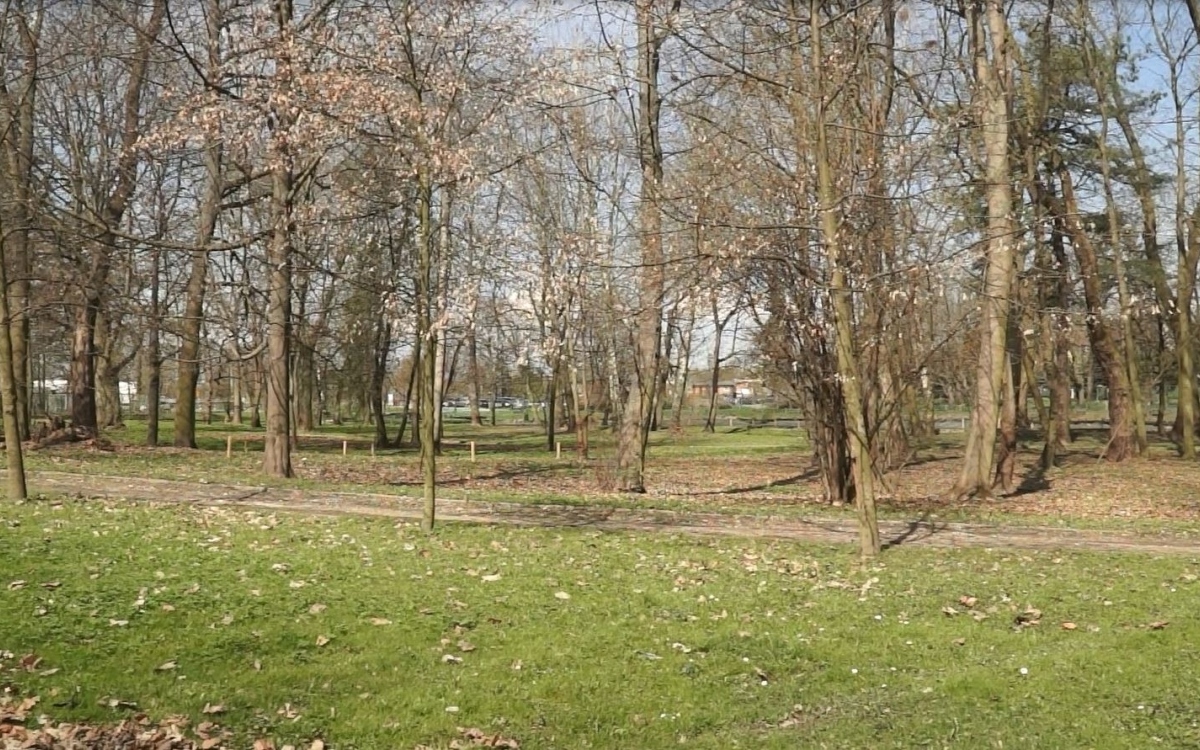 park11-1618936099.jpg